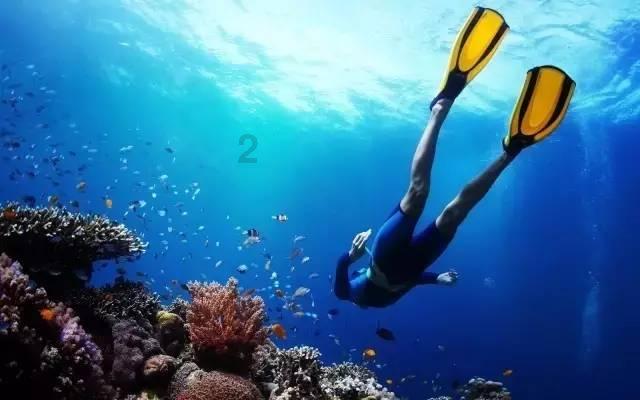 山海间 有答案|攀——此生有光